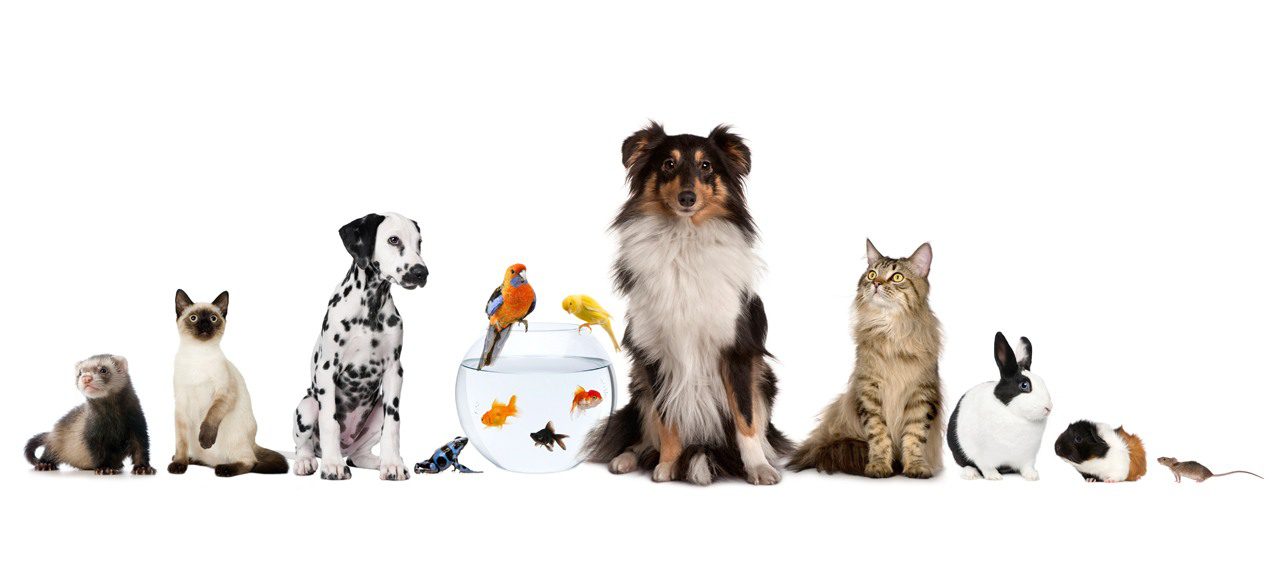 Зображення видалено.