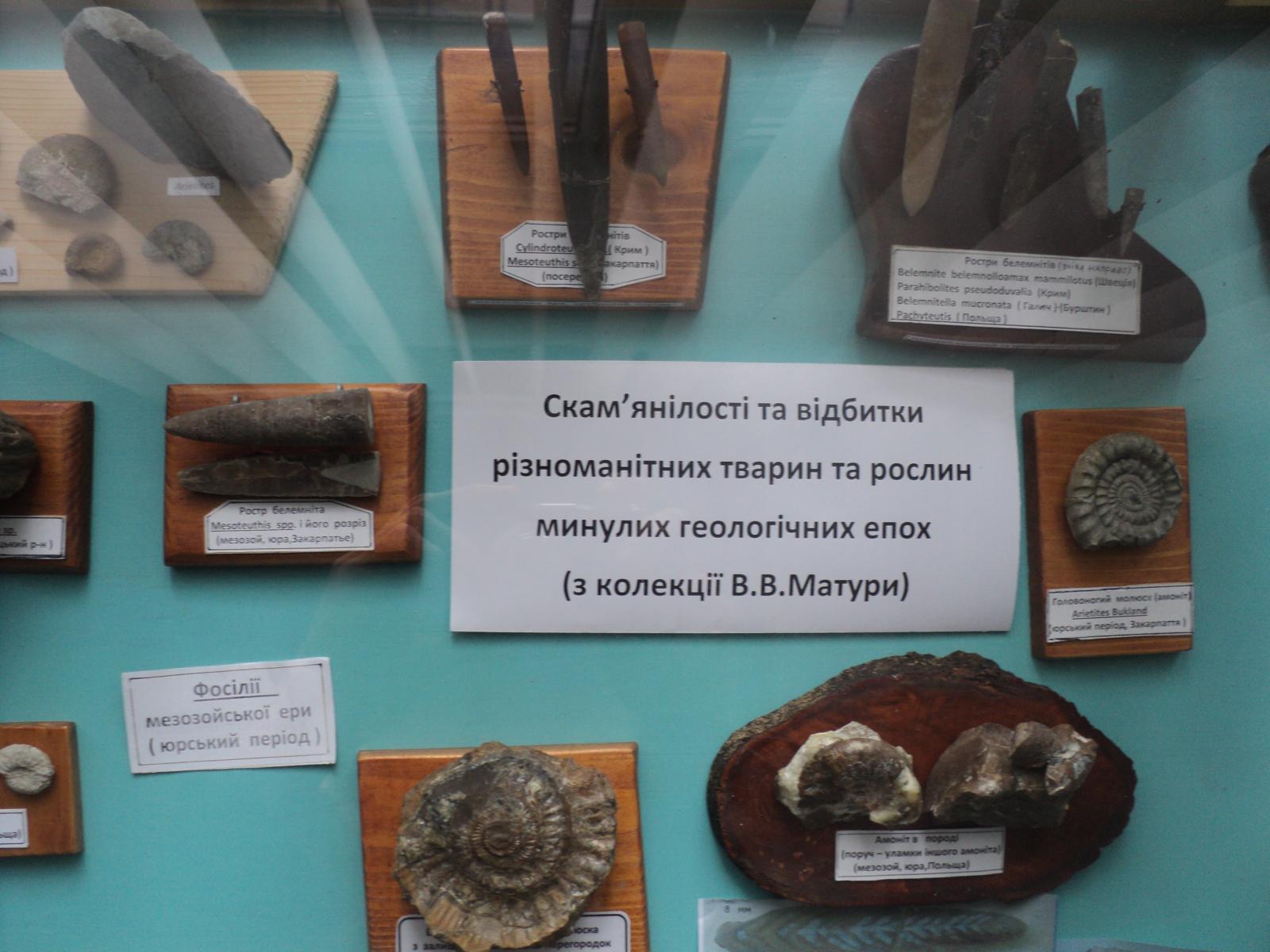 коли карпати були морем