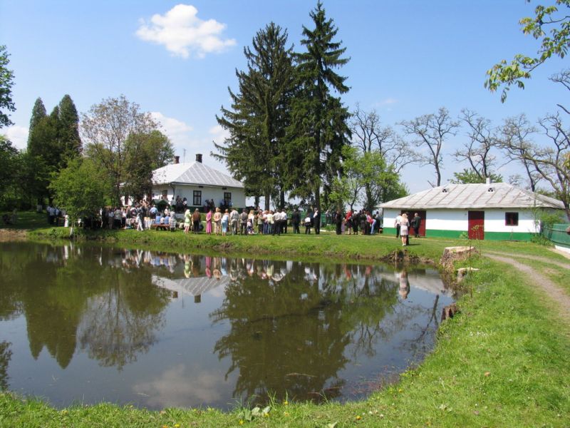 як прикарпаття відзначатиме 150-річчя з дня народження василя стефаника