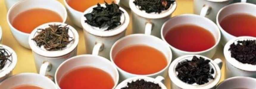 як обрати чай